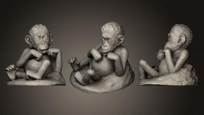 Статуэтки животных (Новорожденный шимпанзе, STKJ_0506) 3D модель для ЧПУ станка